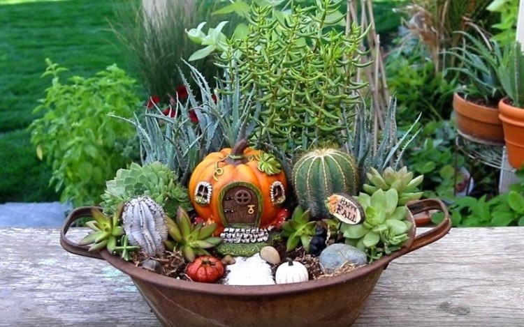 fairy garden pots