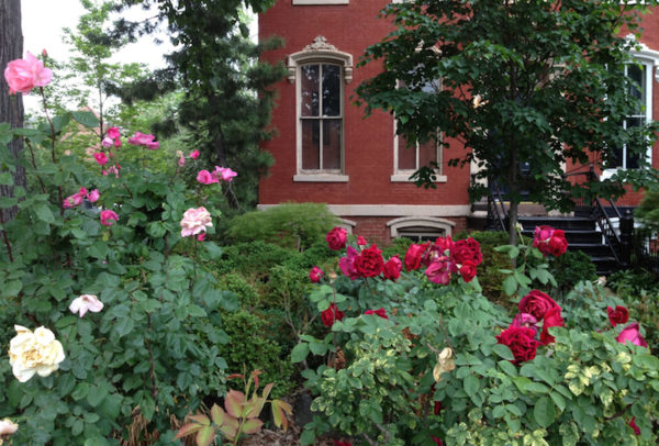 front landscaping